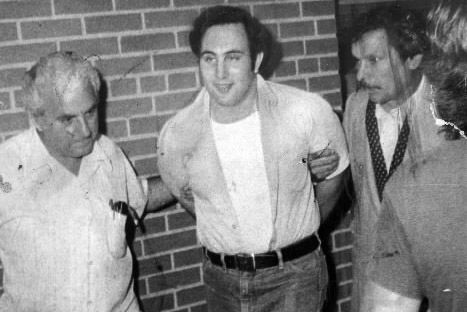 in Sicily they call the police i sonnambuli - the sleepwalkers, because they don't do shit, and that's fitting because it basically wasn't the NYPD that caught David Berkowitz. he was caught by regular citizens being creeped out by this guy and reporting him