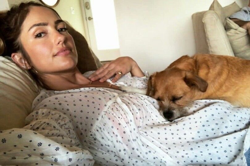 AvatarOfUnity's tweet image. 