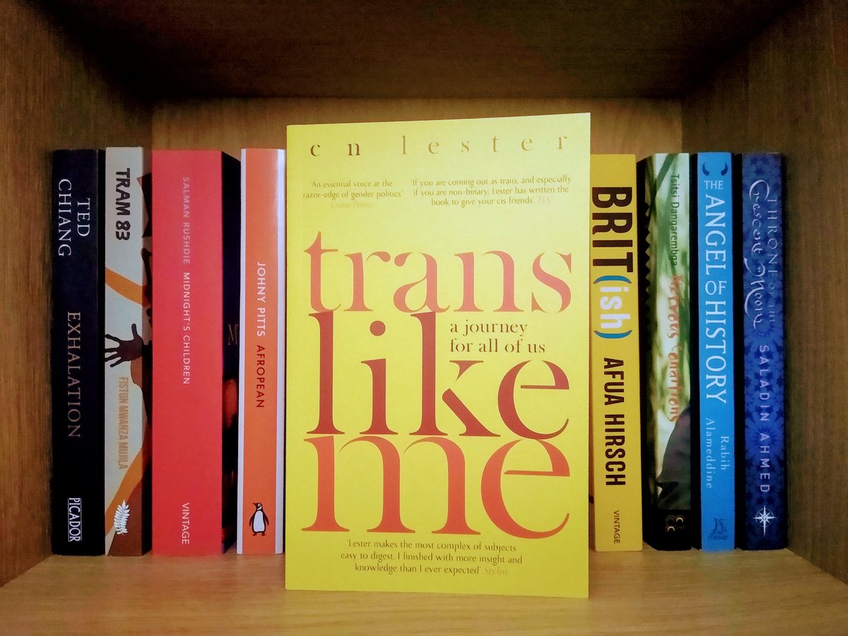 I think this is the final non-fiction book in my TBR: "Trans Like Me: A Journey for All of Us" by CN Lester. This book includes personal experiences, but primarily explores and unpacks common attacks on trans people, such as conversion therapy, bathroom bills & radical feminism.