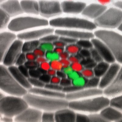 svkdhar's tweet image. #NewProfilePic