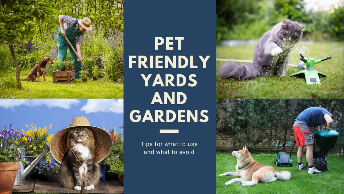 For information on keeping your yard pet friendly, please visit jointanimalservices.org/pet-friendly-y…