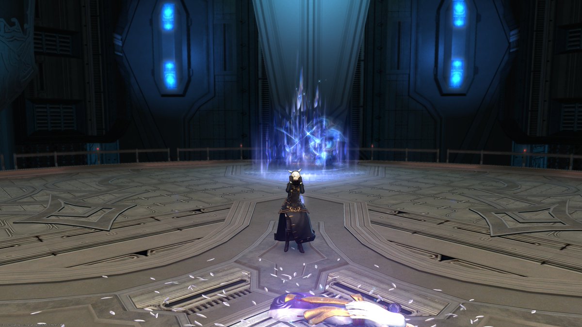 菊一文字 猫 Chocobo Kikuichimonji14 Twitter