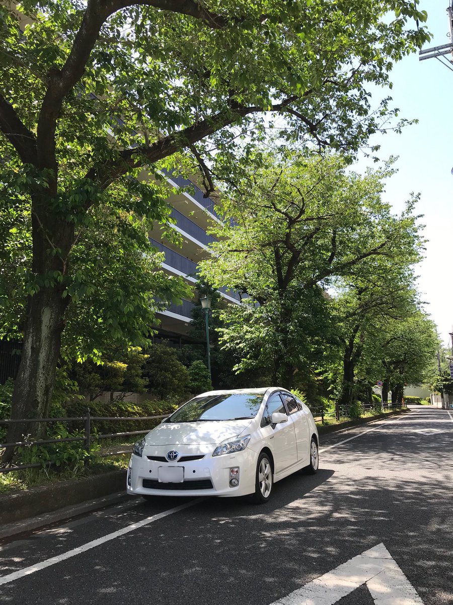 雨上がり、本日の成増は27℃🌴
夏はもう直ぐですね❗️
洗車のご予約お待ちしております🚙✨✨✨
 #dewks #premiumdetailing #premiumcarwash #premiumcarcare #glasscoating #premiumcoating