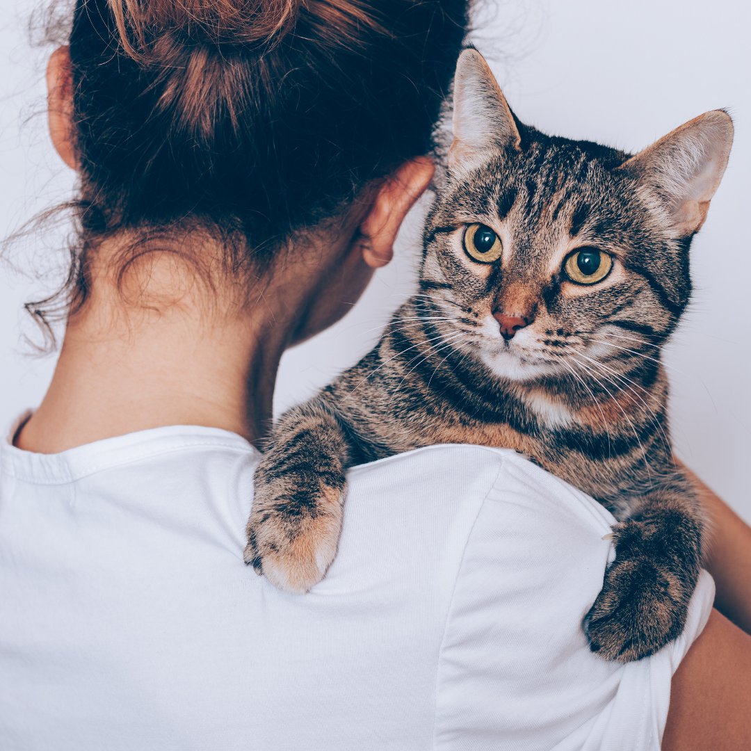 pawstoremember's tweet photo. “Pets find a way of claiming a huge chunk of real estate within our hearts.”

Our founder Maryglenn, outlines the reasons why grieving the loss of a pet is both normal and expected. If you or anyone you know is experiencing pet loss, we are here.

https://t.co/ZtTMlBm4zK https://t.co/jOSVeKvcmG