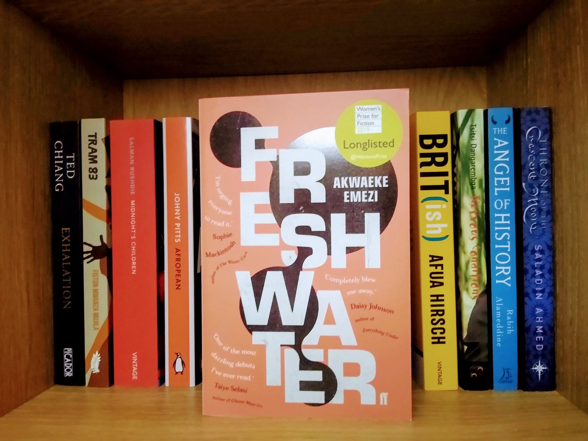 "Freshwater", by non-binary Igbo & Tamil author Akwaeke Emezi, follows the story of an ogbanje (an Igbo spirit, often malevolent, born into a human body); it explores how the spirit complicates and upsets the life of the human host Ada when she moves to the USA.