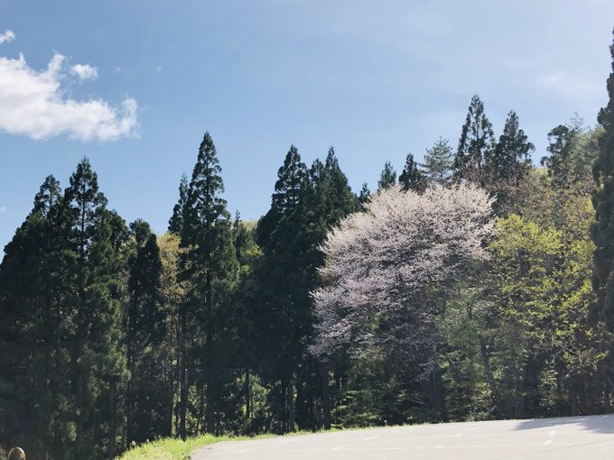 恐羅漢エコロジーキャンプ場 Osorakan Twilog 恐羅漢エコロジーキャンプ場 Osorakan Twilog