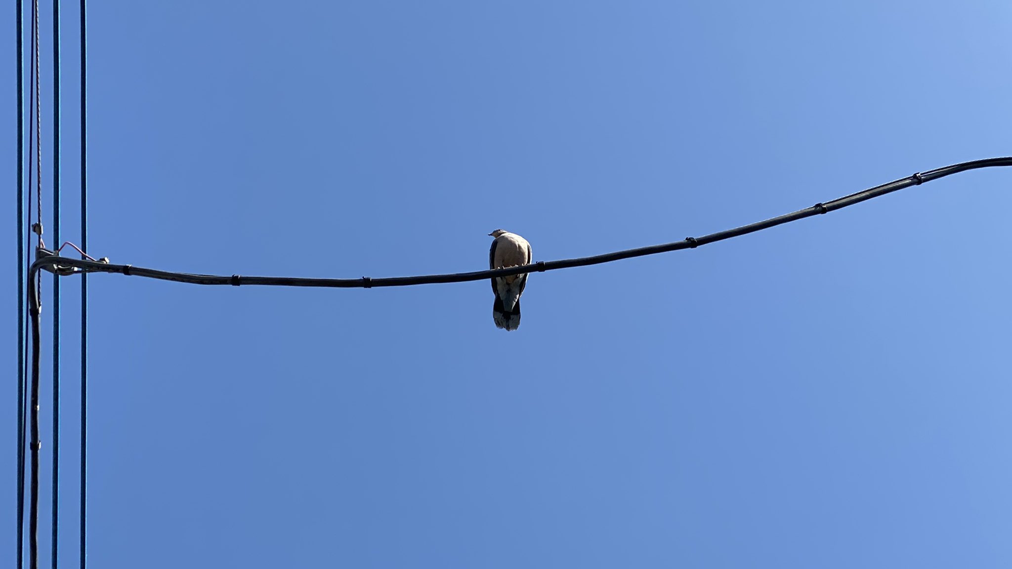 佐々木遊太 on Twitter 