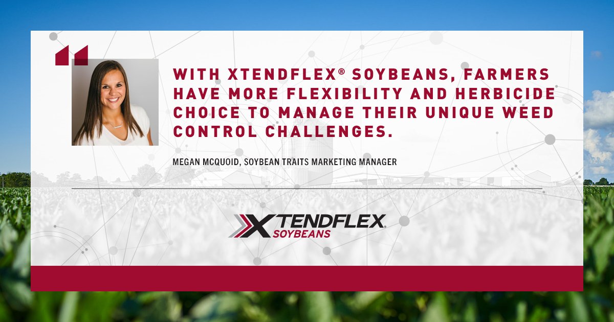 BayerTraits's tweet image. Our Innovation Town Hall from #Classic21 focused on the latest in both system and trait technology. You can watch it here: ➡️  bit.ly/2RZOp8J