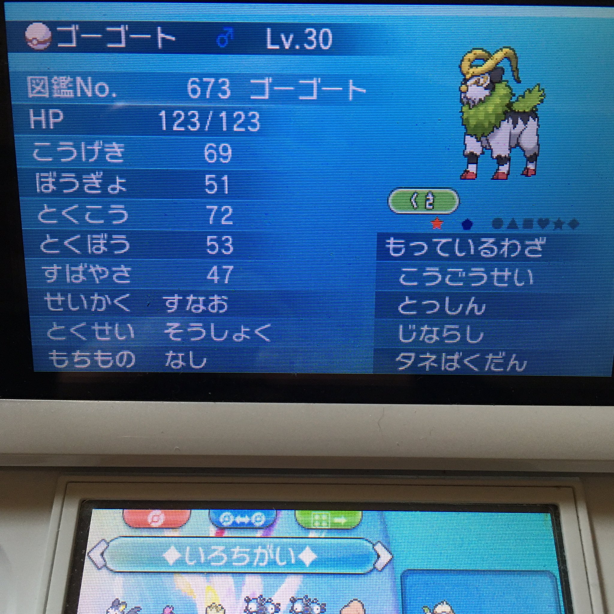 Hal318 フレンドサファリで 色違いゴーゴート捕まえた かっこいい色合いだぁ O O 色違いポケモン Shinypokemon T Co 8m55olyrem Twitter
