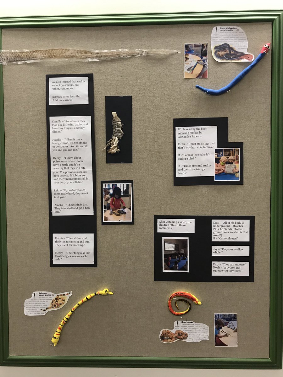 Pam Lauer tweet media