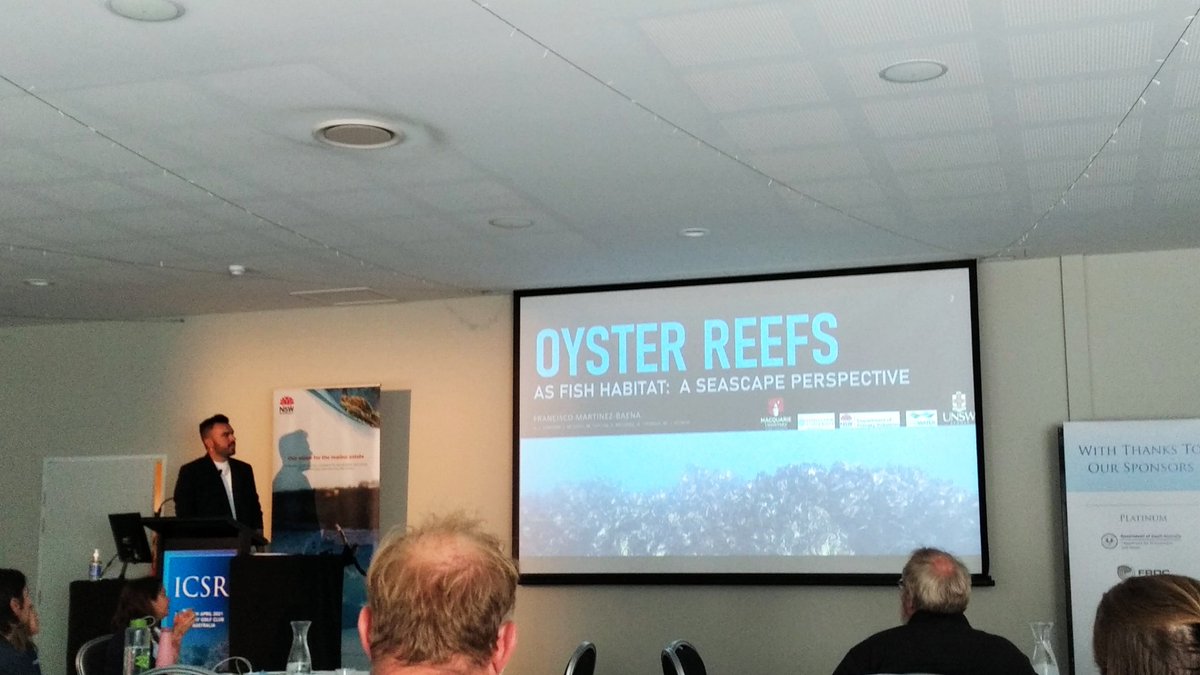 I am so proud of my #oysterbrother @OysterReefs for his AMAZING #ICSR2021 presentation on #seascape #connectivity between #oysterreefs, #mangroves, #seagrassmeadows & #baresediments! 💪Looking  forward to reading your full PhD thesis, Dr. Paco!! 🦪🤙@MelanieJBishop @MQ_Marine