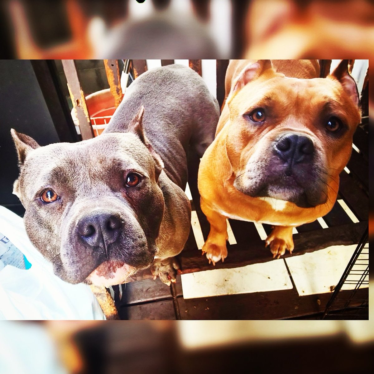 A8 Ad Be 81 Af 96 Twitter Search