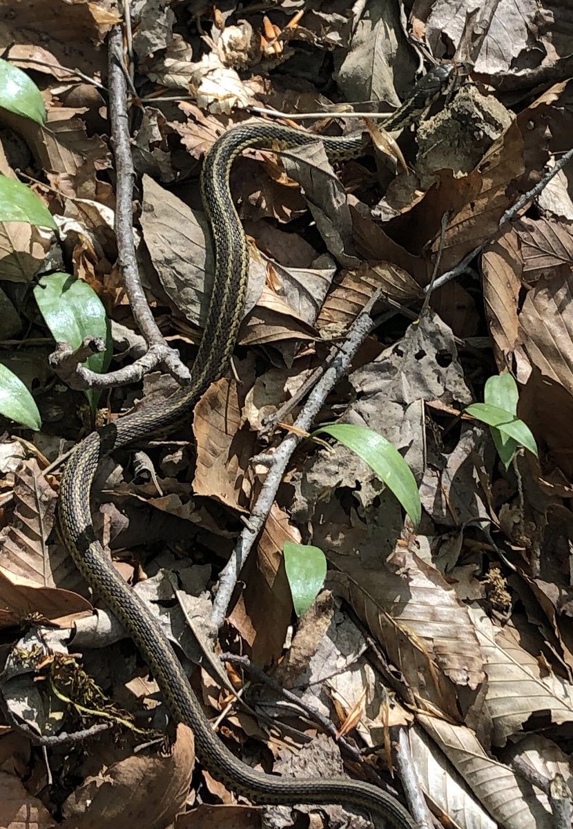 ひより_ tweet media