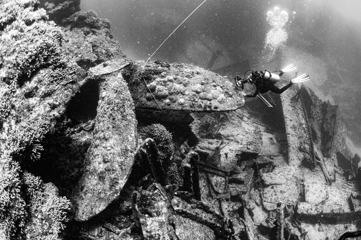 Besides its incredible biodiversity, the Parcel de Manuel Luís has hundreds of shipwrecks. No wonder the place is known as the Brazilian Bermuda Triangle. Photo: Leo Francini
