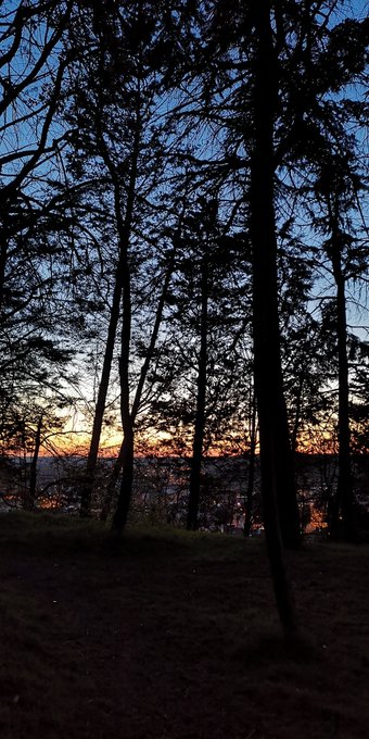 This place 🤍 https://t.co/AE8wcXcESv<a href="/tag/dontrushchallenege"class="tags"><span>#dontrushchallenege</span></a>