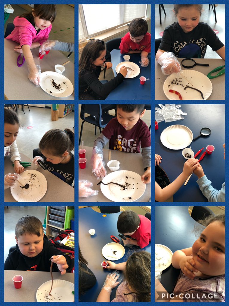 MissMelTL's tweet image. Comparing living and non living creatures today in the #llc @StTeresasSchoo1 @wavelliott