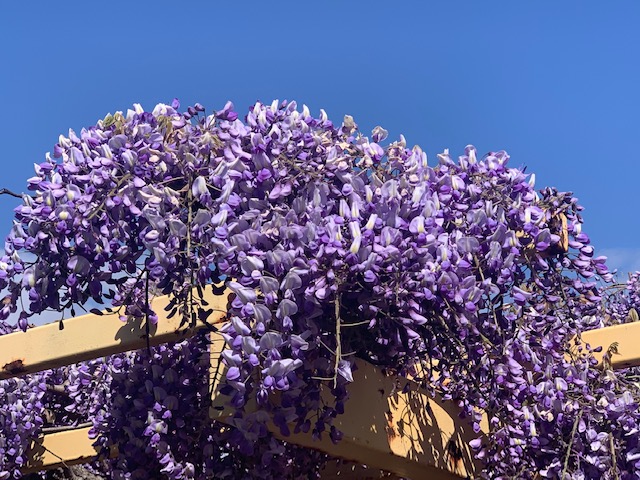 Npo法人東松島市芸術文化振興会 東松島市コミセン 大規模改修中 Comcen Npo Twitter