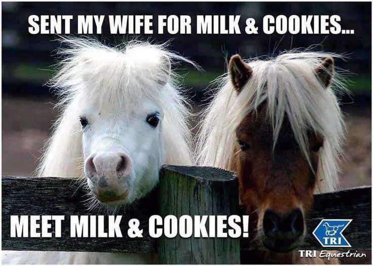 Own up... who has done this before?! 🙋‍♀️