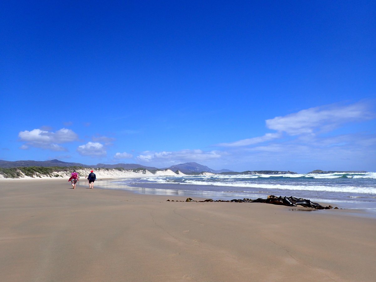 Roaring 40s Kayaking tweet media