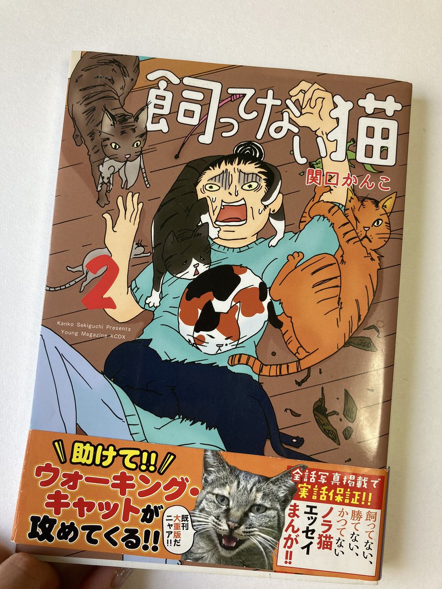 基本単行本表紙は線画だけ描いてデザイナーさんに色塗ってもらってるんですが、飼ってない猫2巻のとき表紙の絵を提出したら「関口さんの絵、両方左手なんですけどww」って担当さんから連絡もらって土下座と共に爆笑しながら右手だけ送って合成してもらったときの原稿が出てきました(恥) 