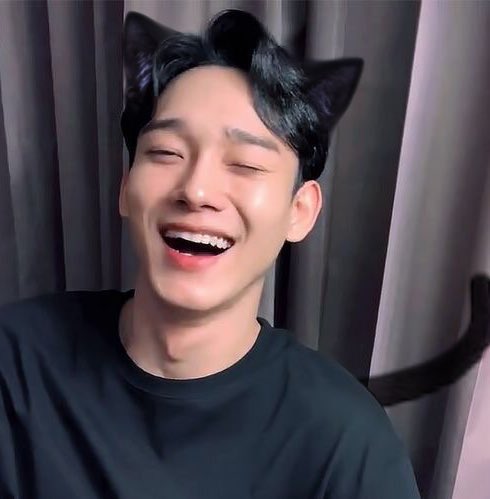 CHEN and TEN as cats 