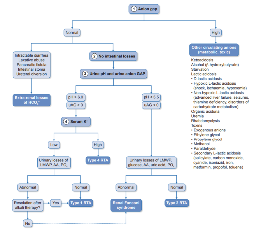 ⚡️MUST READ⚡️
Distal renal tubular acidosis: ERKNet/ESPN clinical practice points
👉This paper is a guide for the management of patients with dRTA
📸Algorithm for assessment and diagnosis of a patient with metabolic acidosis
📖bit.ly/3u7YqPo
<a href="/ESPNSociety/">ESPN</a> @EuRefNetwork