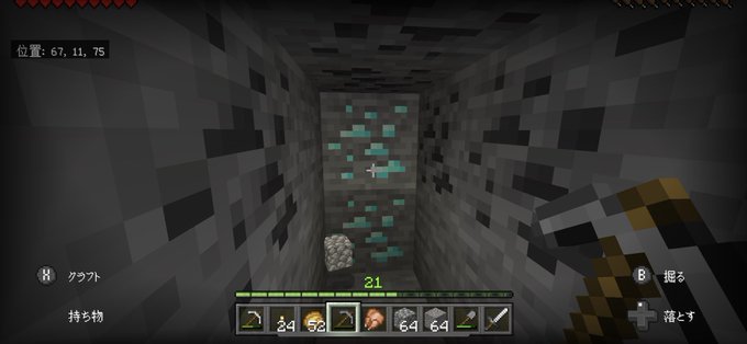 マイクラpeのtwitterイラスト検索結果