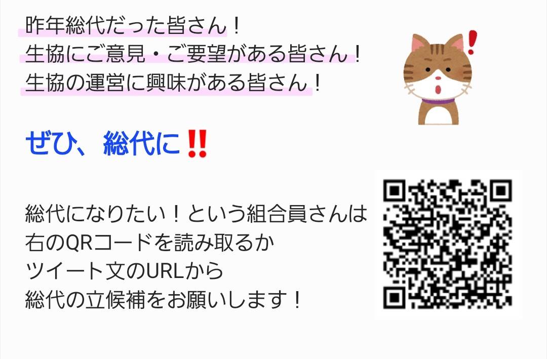 えすてぃー Shokei Todayの中の人 St Account Twitter