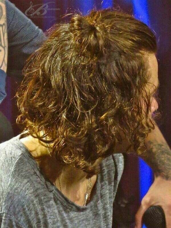 The boy with the curlsNo wonder Louis fell in love with Harry's curls!~a thread~