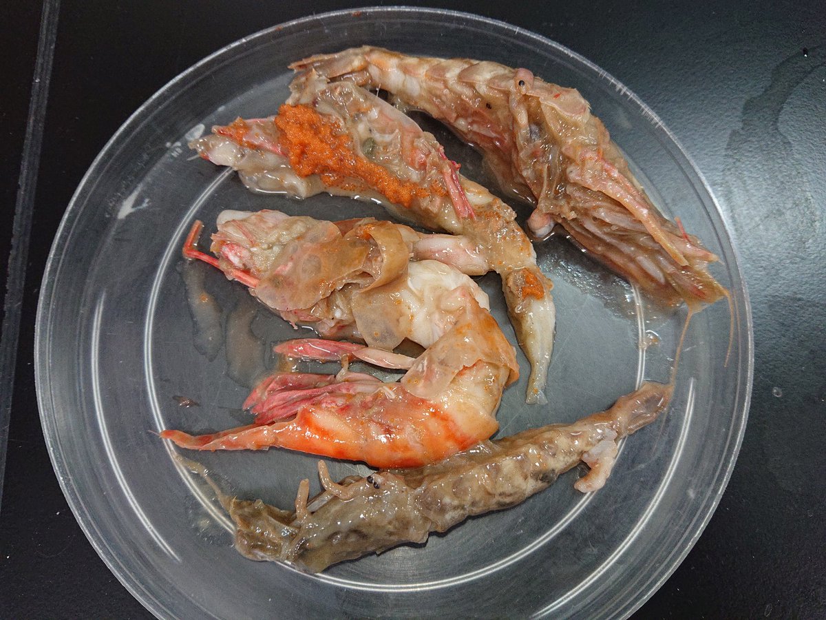 旭川医大寄生虫学講座 今日のマダラの胃内容はカニ タコ エビと贅沢三昧 旭川医大寄生虫学講座 今日のマダラの胃内容はカニ タコ エビと贅沢三昧