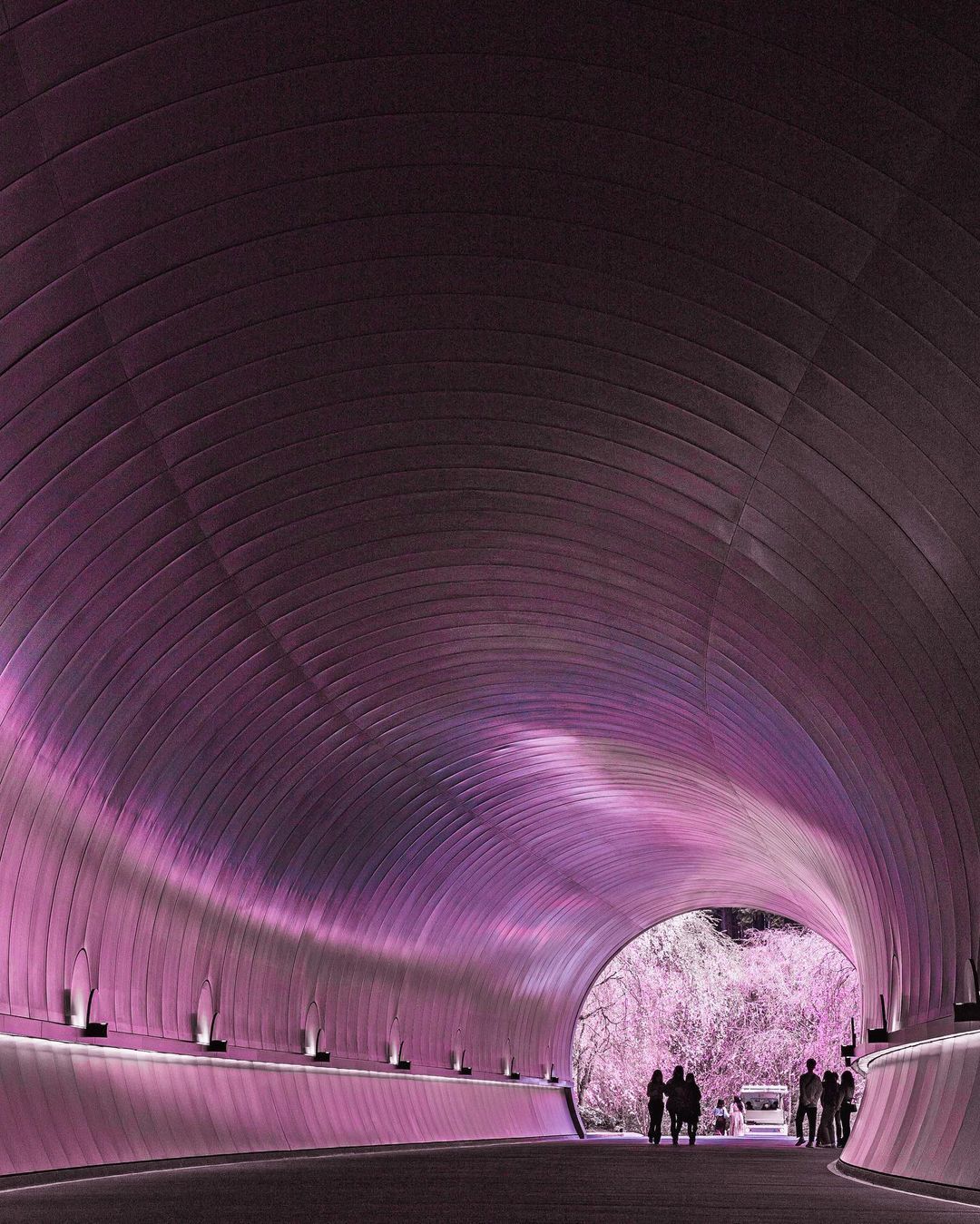 9GAG ❤️ Memeland on X: Sakura light reflected in the tunnel 🌸 📸 psl0504