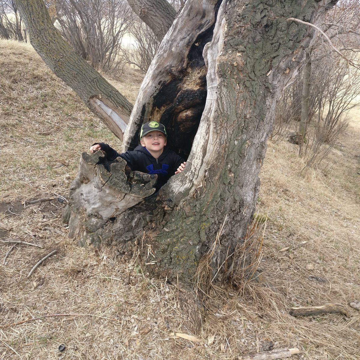 OLA Catholic School tweet media