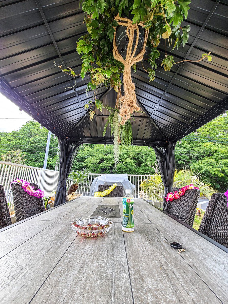 Moha 庭がお洒落になったかな ガーデニング 自分でやる コストコ お洒落 庭 ヤシの木 南国 q アロハ