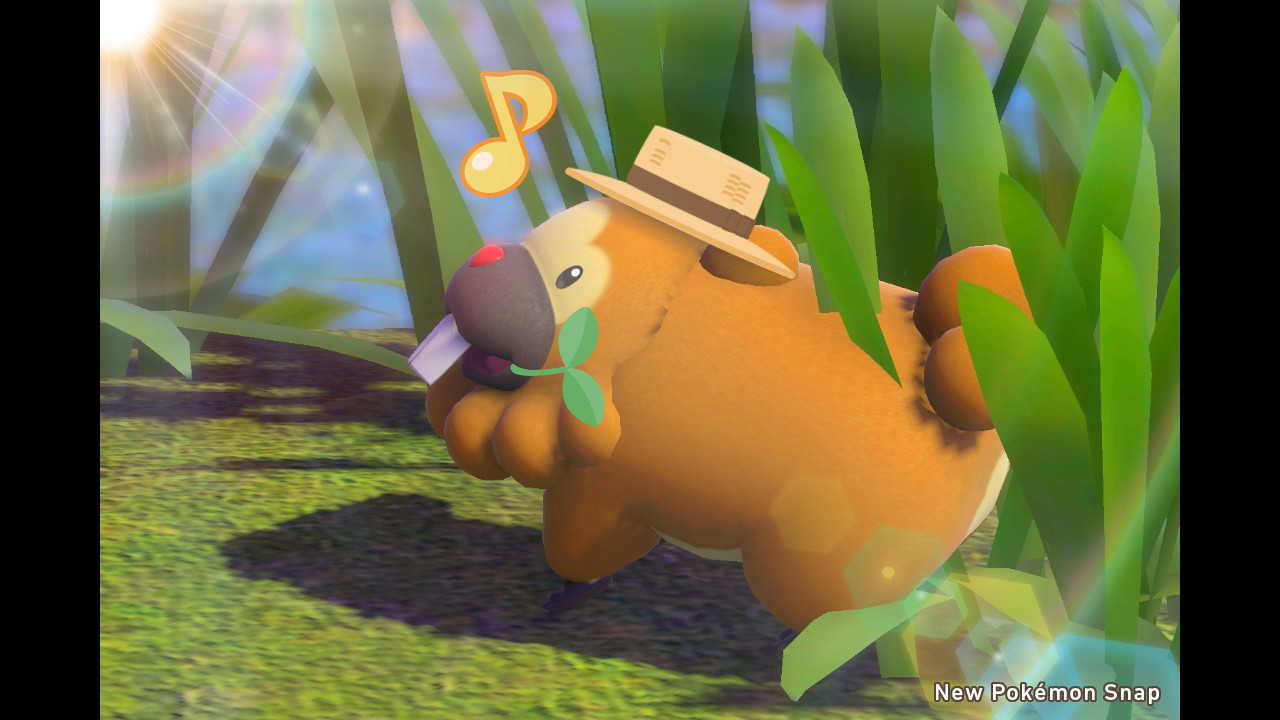 新太 夏樹 スナッパーになりました 初投稿はビッパ めっちゃかわいい Newポケモンスナップ Newpokemonsnap Nintendoswitch T Co Vgwmhjbbra Twitter