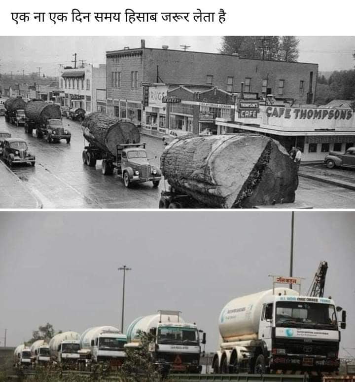 When we cut a tree, we are
cutting a part of our lungs. he also indirectly damage human lungs.this is nature power.<a href="/BarkhaS37691560/">Barkha Singh</a> <a href="/avidandiya/">🇮🇳 Avi Dandiya</a>