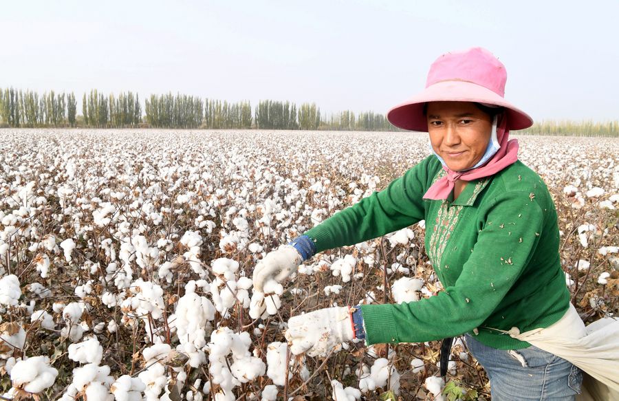 https://www.liberationnews.org/chinese-people-boycott-the-xinjiang-cotton-b...