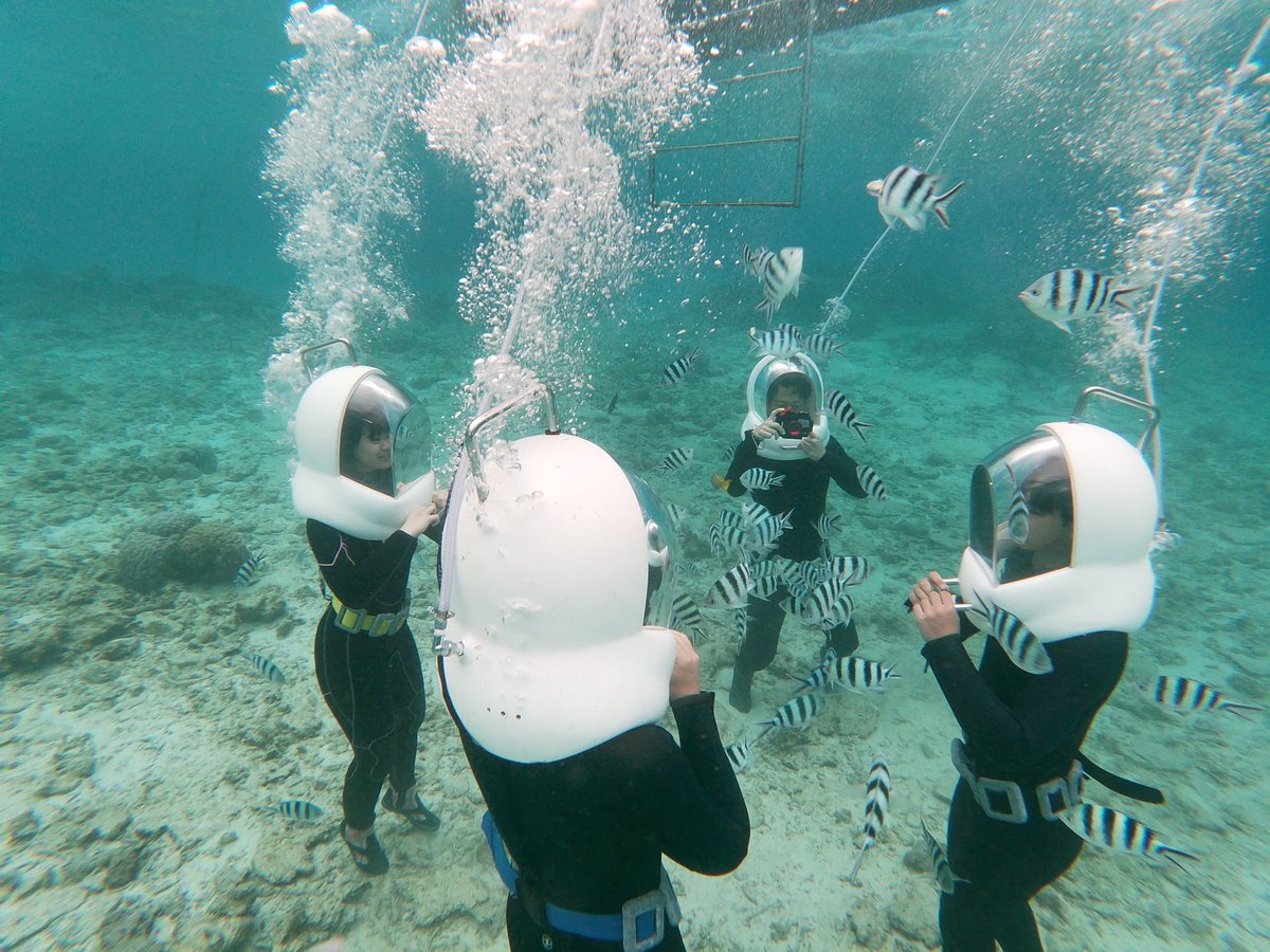 青の洞窟専門店 ブルーオーシャン沖縄 はいさーい 青の洞窟ツアー予約受付中です 青の洞窟 沖縄 ボートツアー ダイビング シュノーケル シーウォーク 真栄田岬 恩納村 前兼久 シルエット写真 ゴープロ 水中写真 Blueocean Bluecave Diving Gopro