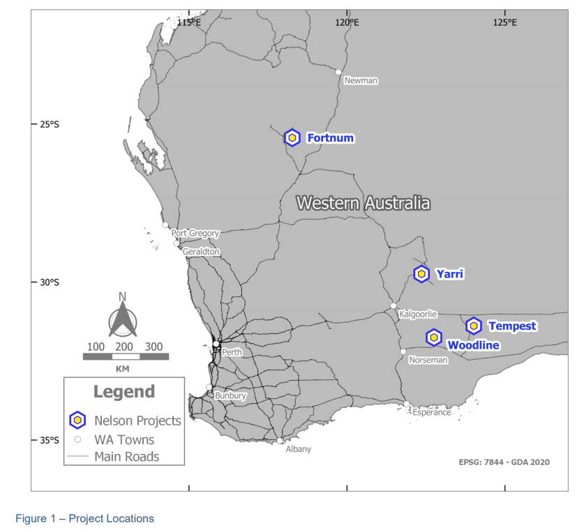 Nelson Resources tweet media