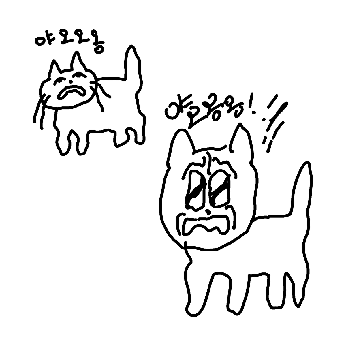 고양이 울음소리 기록 