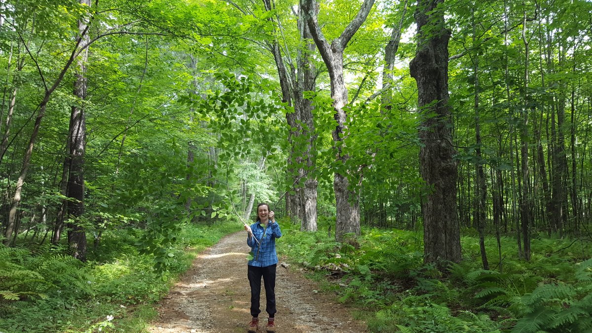 Dr. Kate Johnson (@kateplantphys) on Twitter photo I am very excited to share that I will be going back to this beautiful place <a href="/HarvardForest/">Harvard Forest</a> as a Fulbright Postdoctoral Scholar in 2022, spending time at both <a href="/TheHolbrookLab/">The Holbrook Lab</a> and <a href="/brodersen_lab/">Brodersen Lab</a>!
<a href="/AustAmFulbright/">Fulbright Australia</a> <a href="/FulbrightPrgrm/">The Fulbright Program</a> I am very excited to share that I will be going back to this beautiful place <a href="/HarvardForest/">Harvard Forest</a> as a Fulbright Postdoctoral Scholar in 2022, spending time at both <a href="/TheHolbrookLab/">The Holbrook Lab</a> and <a href="/brodersen_lab/">Brodersen Lab</a>!
<a href="/AustAmFulbright/">Fulbright Australia</a> <a href="/FulbrightPrgrm/">The Fulbright Program</a>