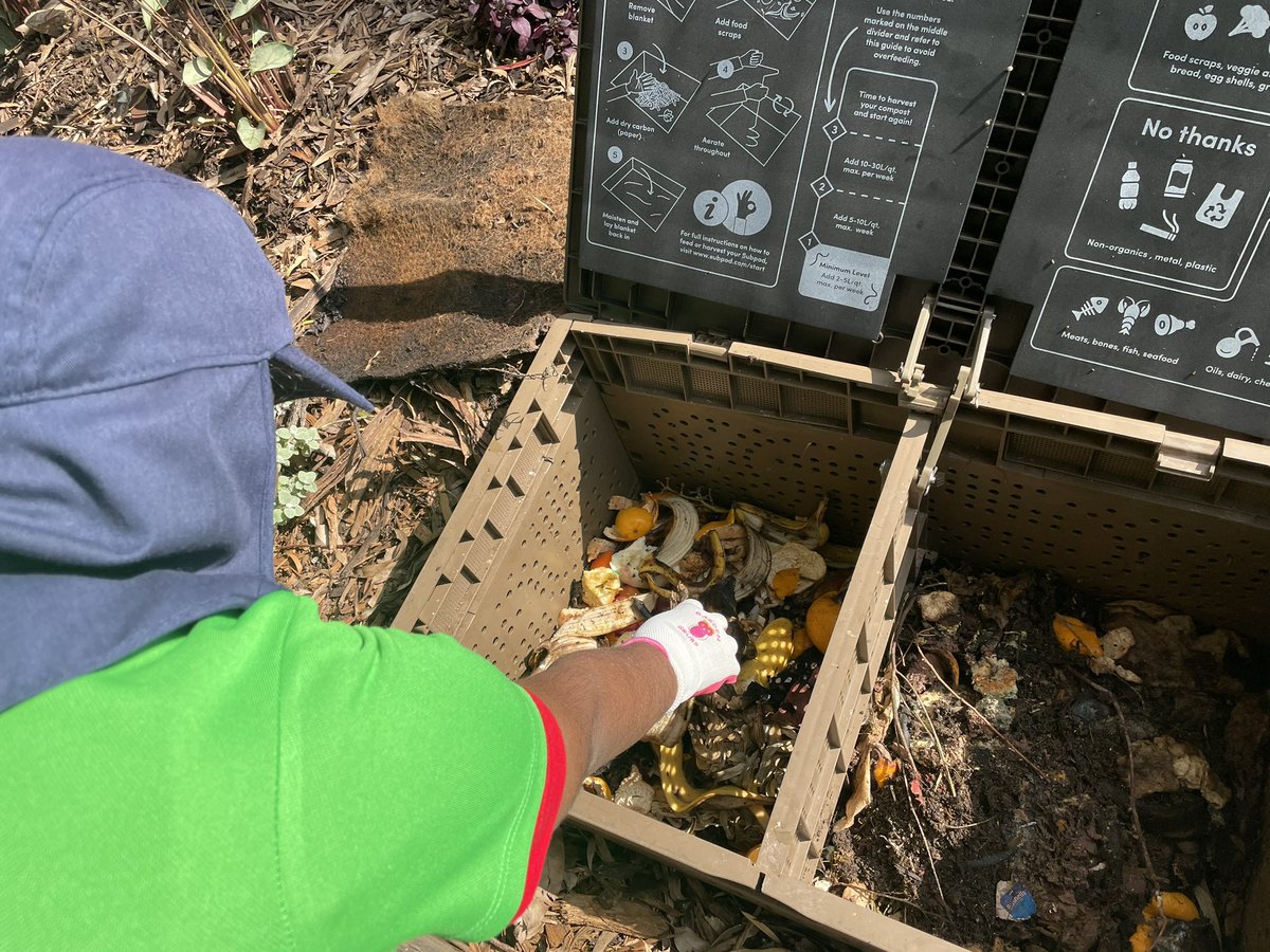 Our dedicated #EcoWarriors are making sure all our organic food waste is going into <a href="/thesubpod/">Subpod</a> for the worms to eat. This is removing 30% of our total schools waste from landfill. #sustainability #environment
