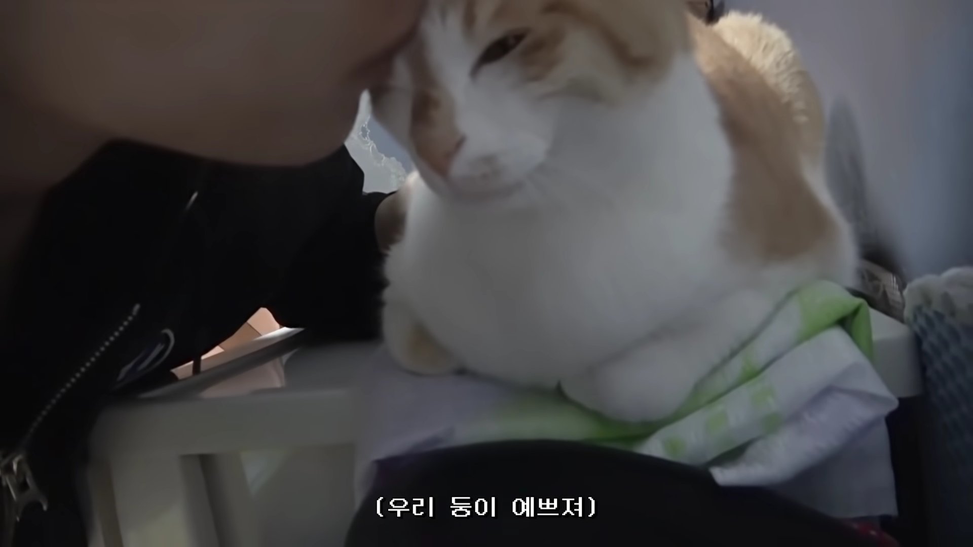 E0Mwd9YVoAIH9v9?format=jpg&name=large