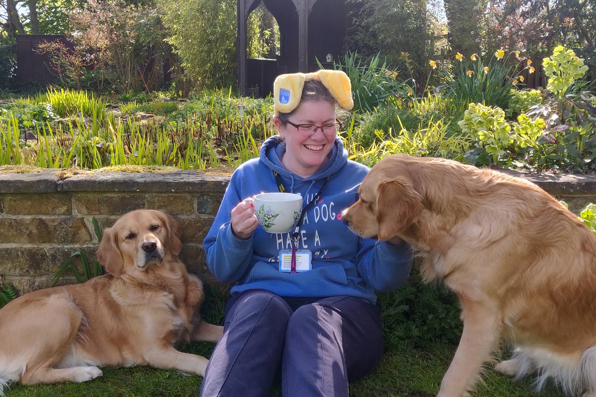 LeicsGuideDogs's tweet photo. Well we did it! A whole month of daily #GuideDogsVirtualTeaParty photos around #leicestershire and #rutland with various local @guidedogs volunteers and dogs. Thanks to all your support, together we have raised over £550.
#GuideDogsFamily #fundraising #charity #DogsofTwittter https://t.co/6YdDK2LrUB