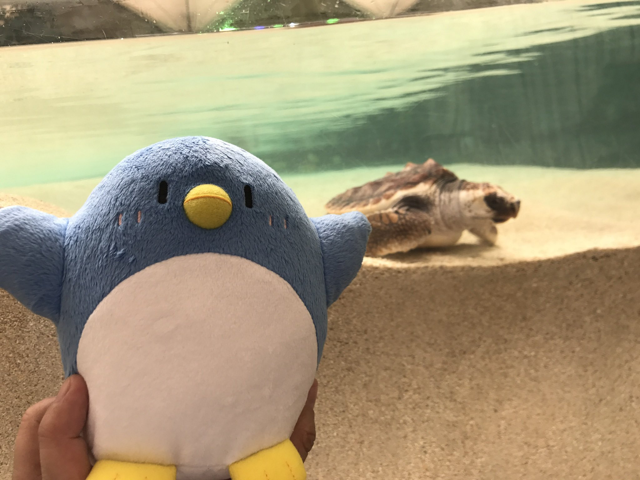 ゲスペン たけぉ ぬいぐるみ 高田村 ポップアップストア