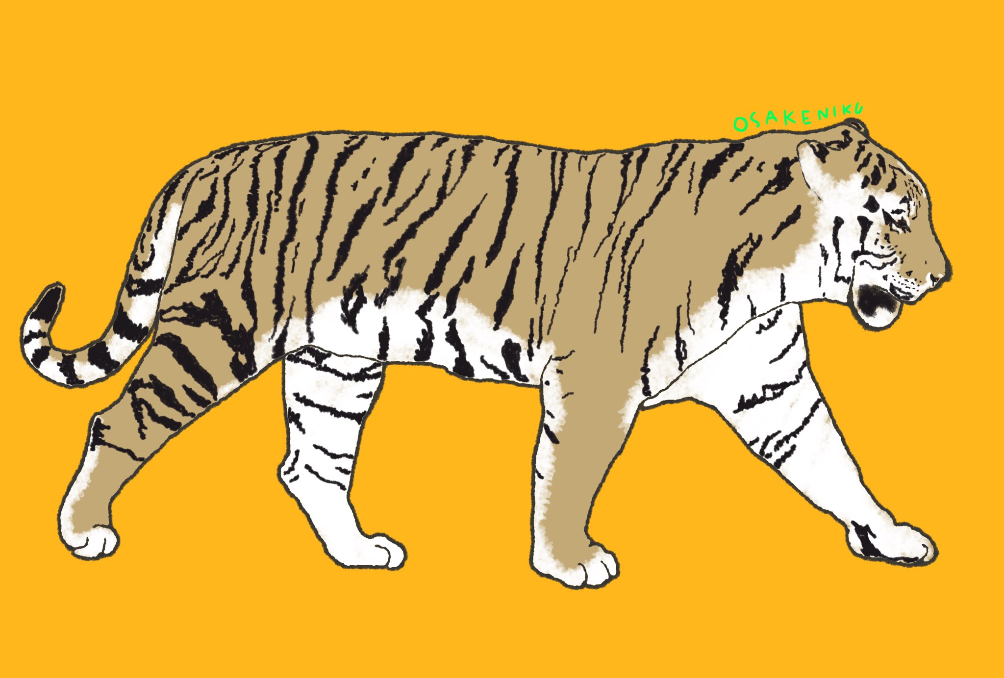 おさけにく デザフェス11 19 B 54 トラを模写しました アムールトラはネコ科の中で1番体が大きいそうで カッコいいですね 手足の着地面の小ささとか形が可愛いですね アムールトラ シベリアトラ Tiger 虎 Zoo イラスト 絵 お