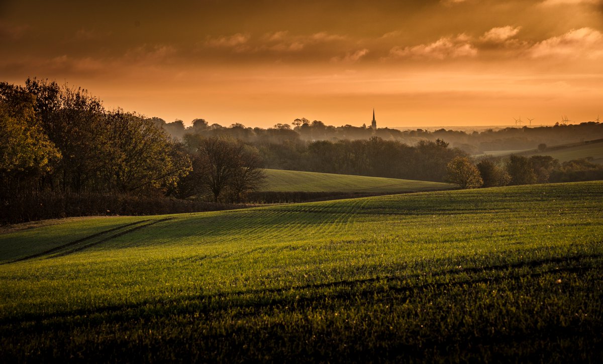 Travel bloggers, we want you! 🙌

We're looking for UK-based bloggers who have really missed getting out and about over the last year to come and explore the #LincolnshireWolds and Coast this summer. 

Email wolds@distract.co.uk for more info!☀️🏖️🍃
#bloggerswanted
#journorequest