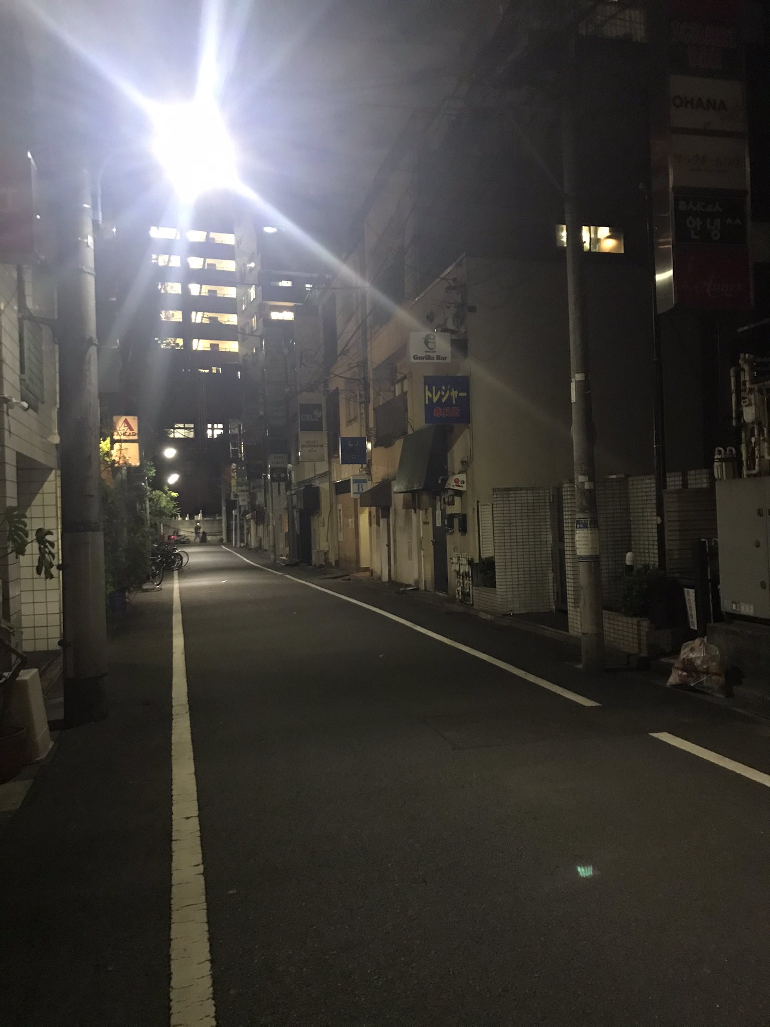 本城よしみ Yoshimihonjyo Twitter