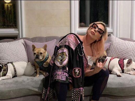 Five charged in violent abduction of Lady Gaga's bulldogs
