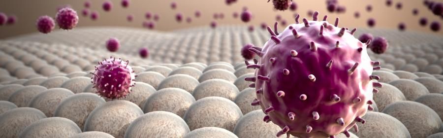 🫁 Explore airway #macrophage ontogeny & metabolism during chronic #lungdisease in our upcoming @wsigimmunol webinar with Dr @adbyrne The #BSIGroupWebinar series is open to & free for all members 🙌 Register now ➡️ Tuesday 18 May, 11:00 BST buff.ly/32bBTVM