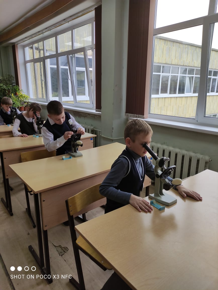 #ШколаРосатома событийный марафон #ШколеРосатома10лет #ДеньШколыРосатома в #Снежинск творческие мастерские «Школы будущих ученых»